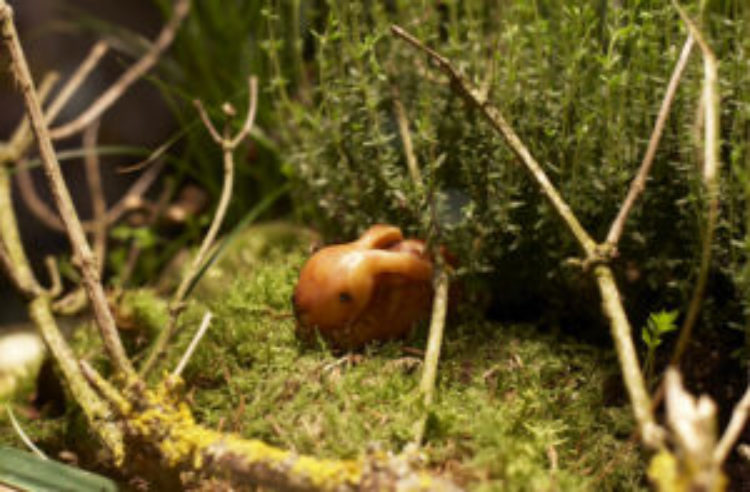 Die Osterzeit .. Die Osterzeit ..