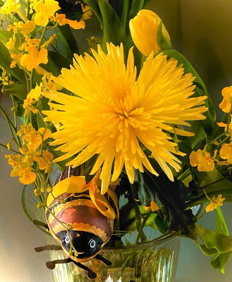 Maikäfer und Zuckerblumen Maikäfer und Zuckerblumen